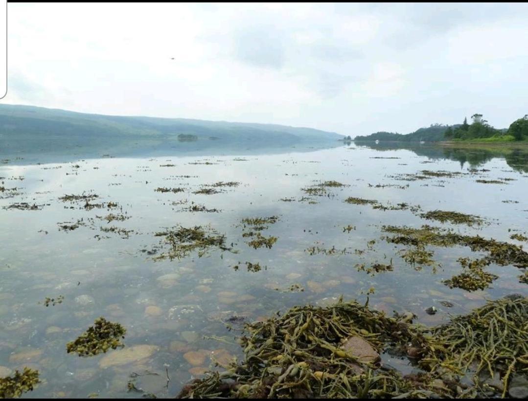 Quirky Lochside Home Inveraray Εξωτερικό φωτογραφία
